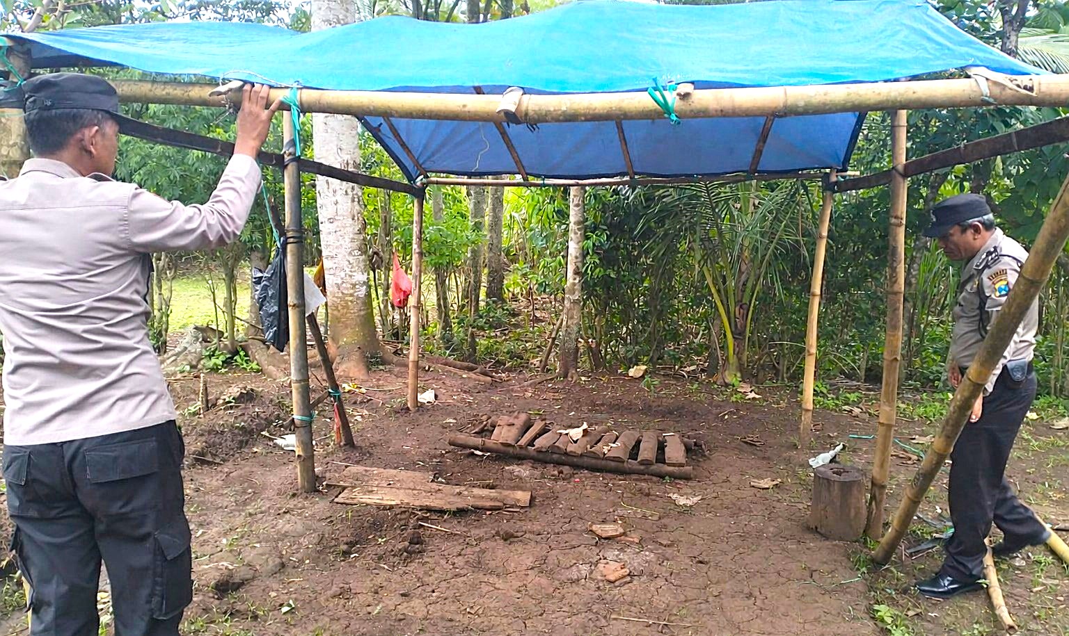 Polres Malang Kembali Bongkar Area Sabung Ayam di Kalipare