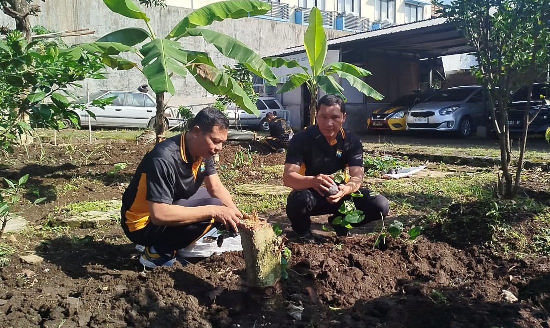 Polsek Blimbing Manfaatkan Lahan Kosong Tanam 100 Bibit Uwi Ungu yang Kaya Manfaat