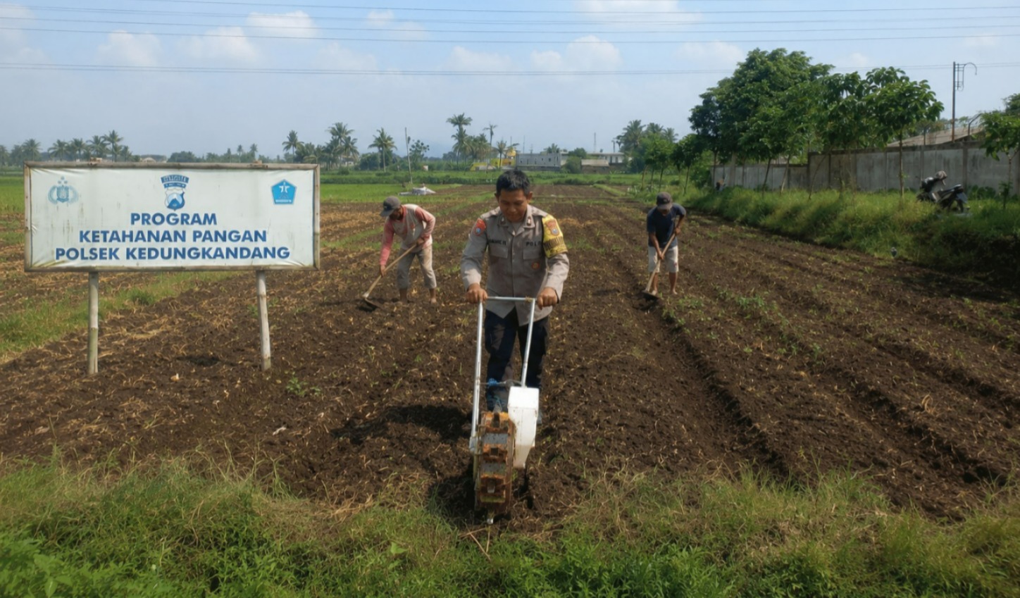 Terus Dukung Ketahanan Pangan Nasional, Pak Bhabin Bersama Warga Mulai Tanam Jagung Kembali